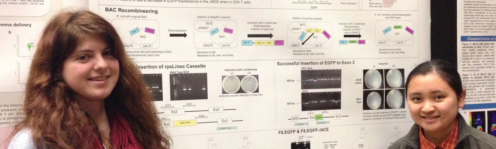 Davidson Immunology